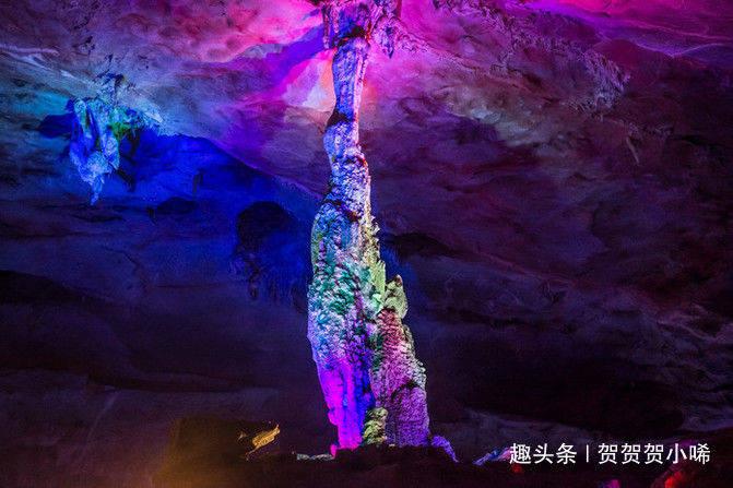 逗小猴开心系列189