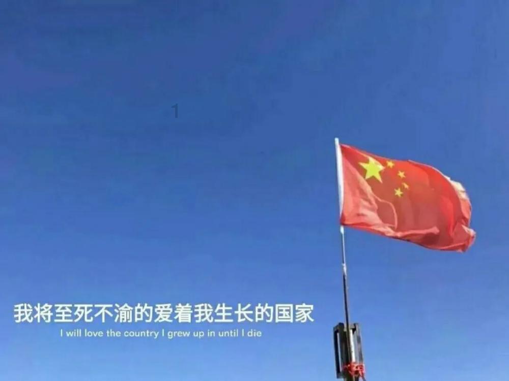 小猫钓鱼游戏龙王版有船